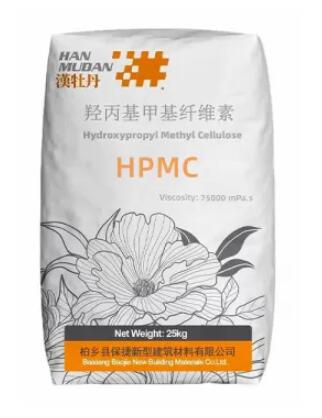 Hydroxypropyl Methylcellulose (HPMC) powder